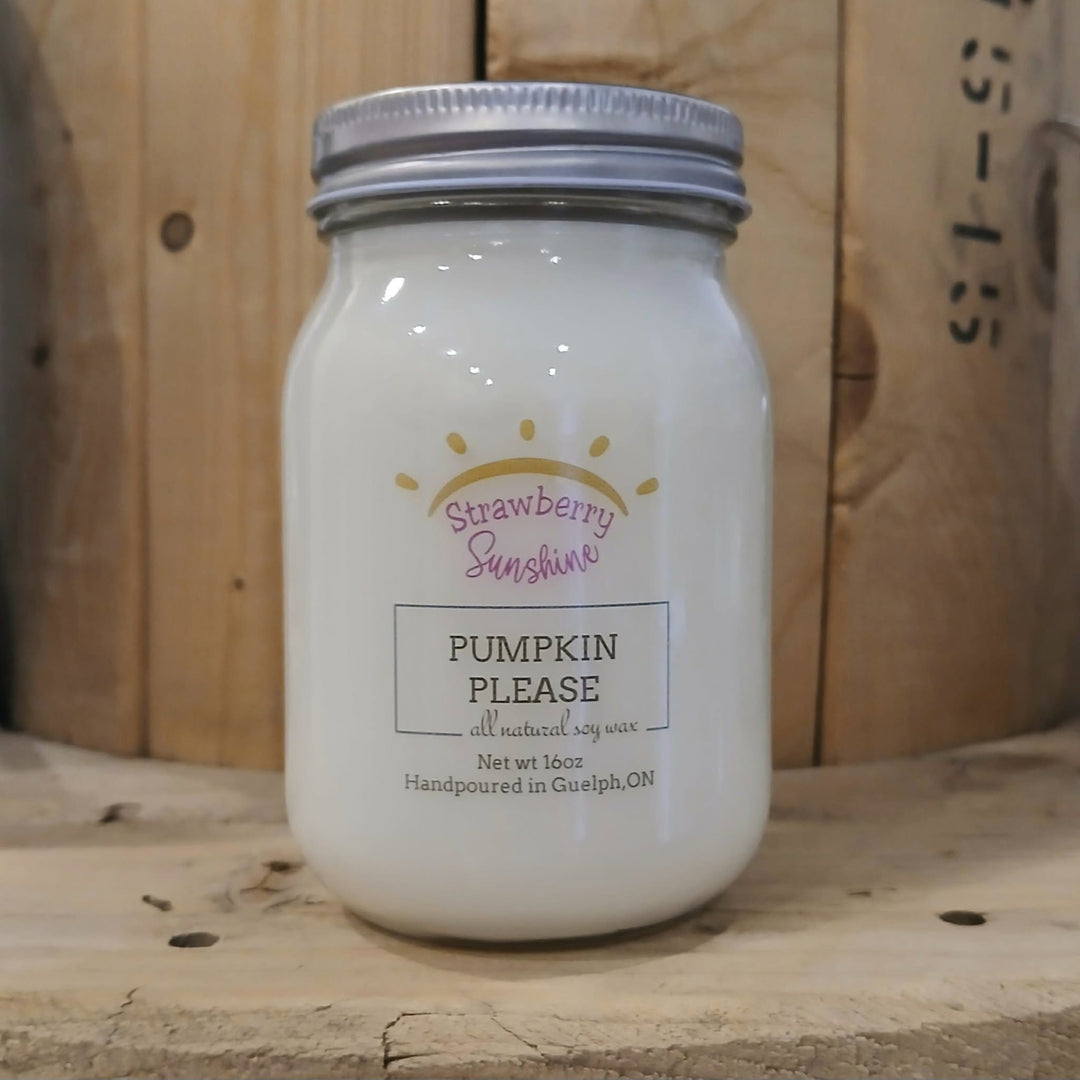 pumpkin please candles fall candles all natural soy wax candles guelph strawberry sunshine candles & beyond 16oz