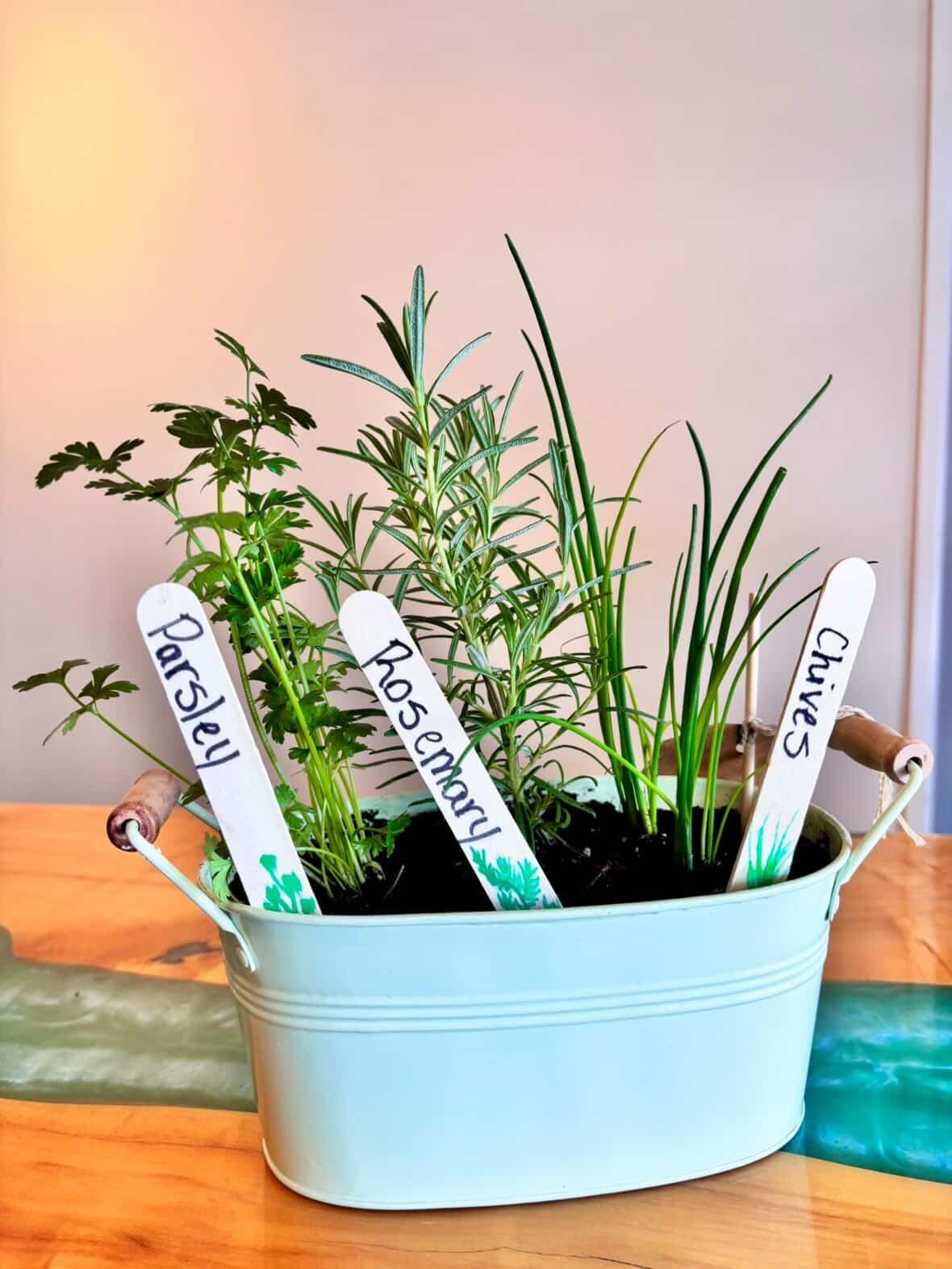 herb garden pd day things to do in guelph guelph pd day kids plants kids workshop things to do with kids