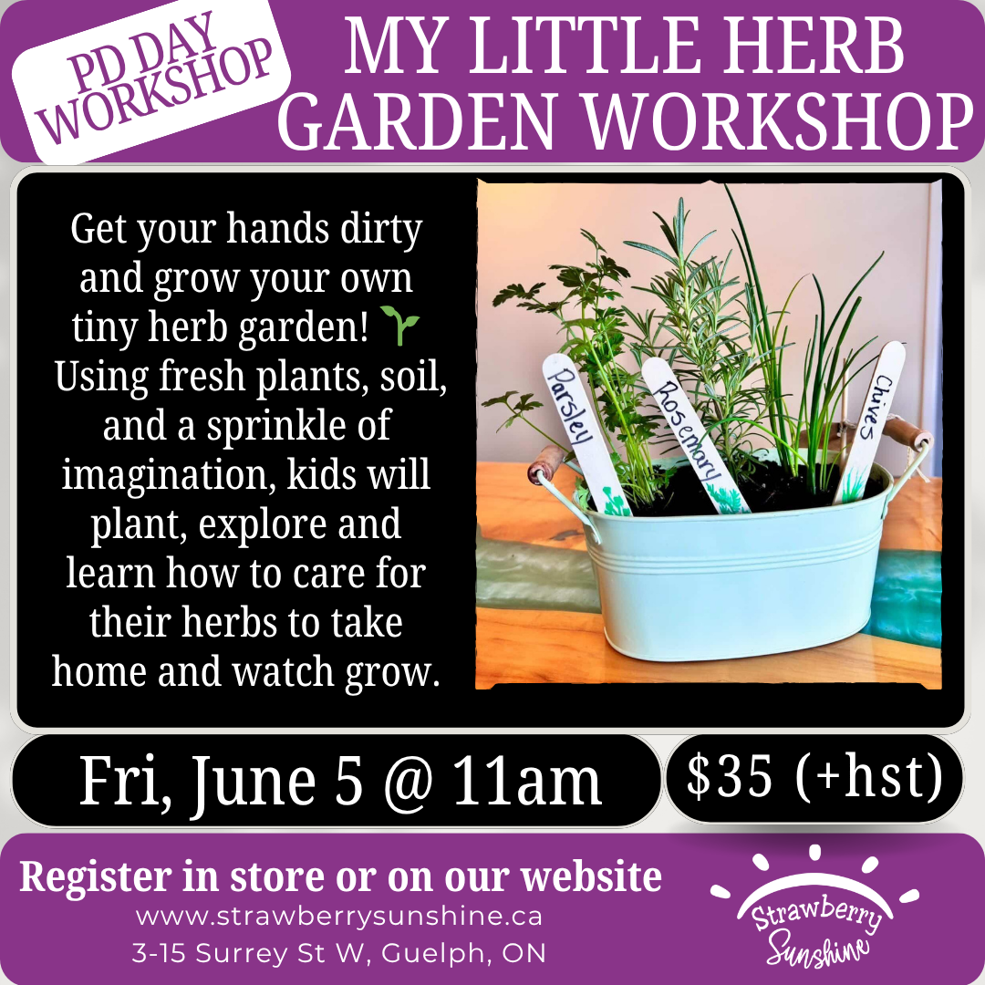 herb garden for kids plants for kids workshops for kids things to do with kids pd day fun pd day guelph