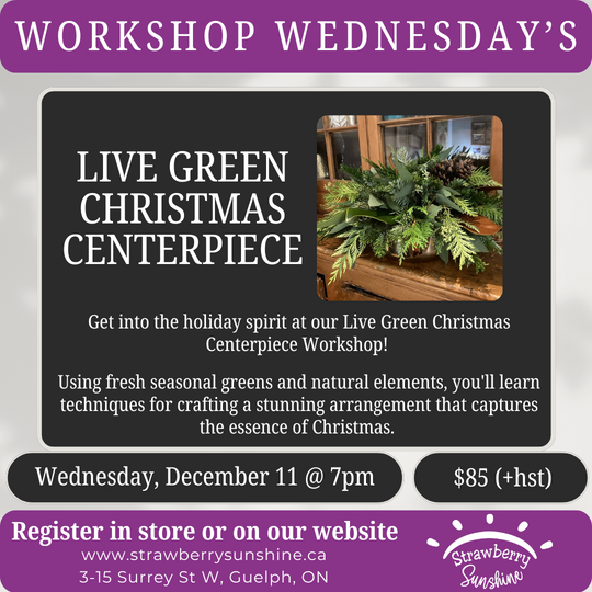 live green centerpiece making diy centerpiece christmas centerpiece christmas greens centerpiece workshop festive workshop holiday workshop guelph local business guelph downtown candles & beyond strawberry sunshine