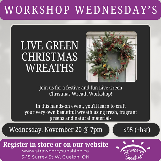 live green wreaths wreath making diy wreaths christmas wreaths christmas greens wreath workshop festive workshop holiday workshop guelph local business guelph downtown candles & beyond strawberry sunshine