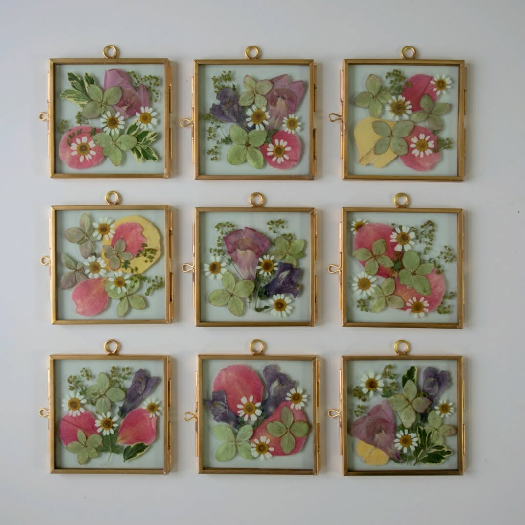 pressed flowers workshop guelph things to do 