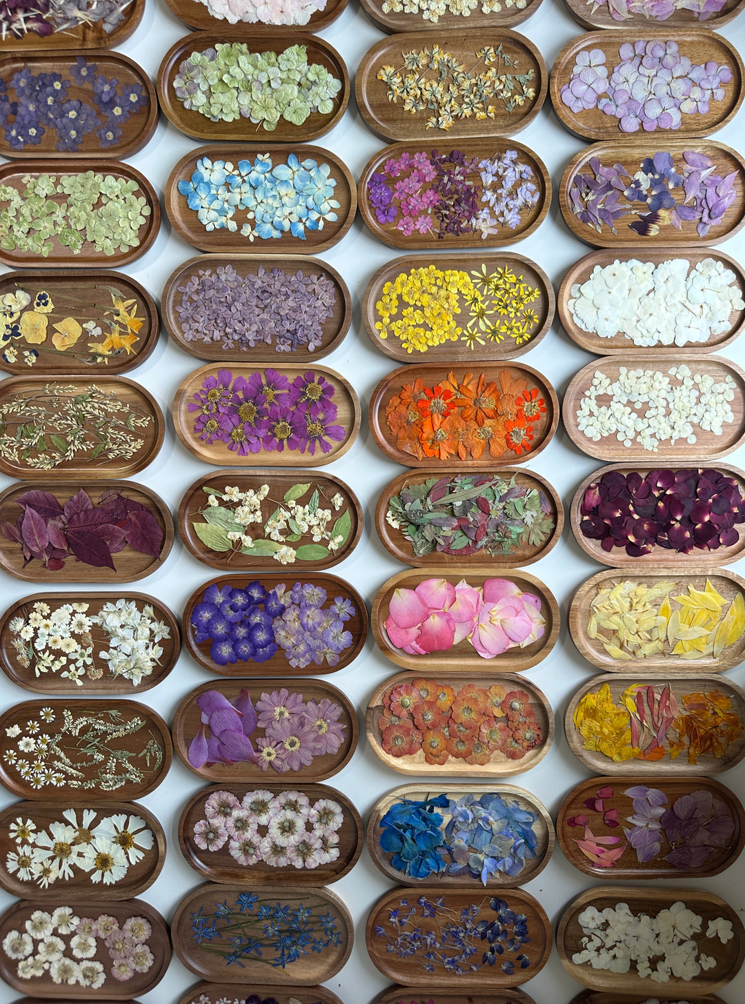 dried florals dried flowers dried flower workshops pressed flowers framed art guelph candle store candles near me workshops near me