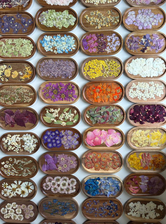 dried florals dried flowers dried flower workshops pressed flowers framed art guelph candle store candles near me workshops near me