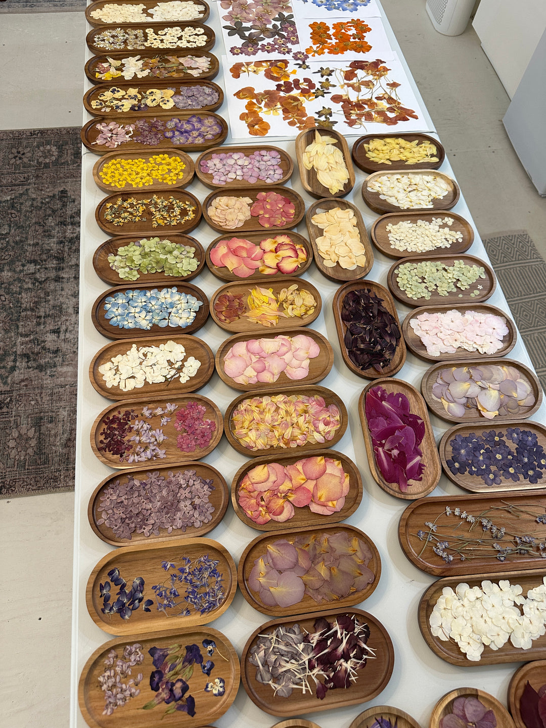 dried florals for workshops