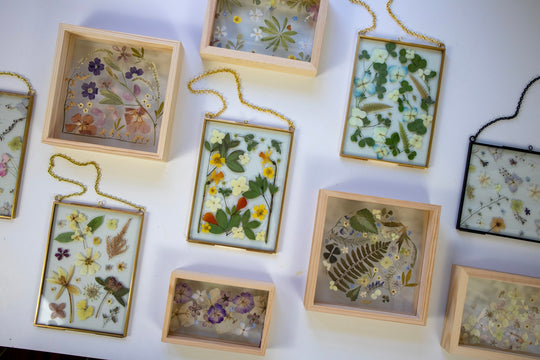 things to do near me workshops near me workshops in guelph dried floral workshops flower workshops