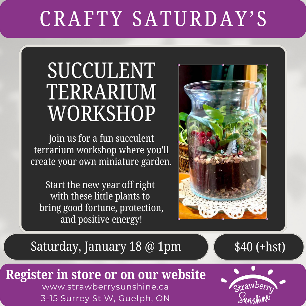 succulent terrarium workshop candle shop candle store candle store in guelph candle store guelph candle shop in guelph candle shop guelph candles guelph candle soy wax candle natural candles guelph natural soy wax candles non toxic candles guelph