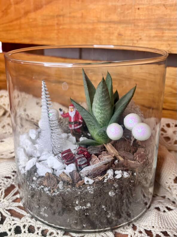 Christmas Break - Winter Garden Workshop