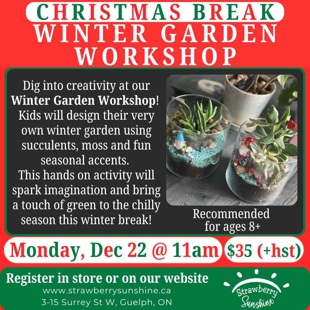 Christmas Break - Winter Garden Workshop