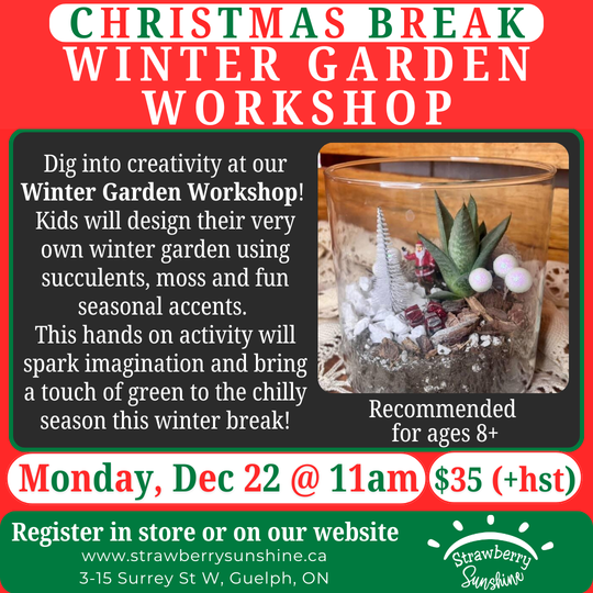 Christmas Break - Winter Garden Workshop