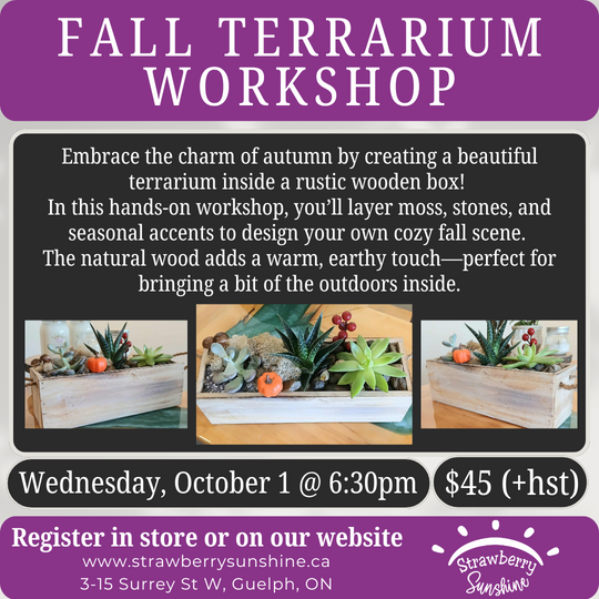 fall terrarium fall workshop fall workshops candle store fall succulent terrarium workshop candle shop candle store candle store in guelph candle store guelph candle shop in guelph candle shop guelph candles guelph candle soy wax candle natural candles guelph natural soy wax candles non toxic candles guelph