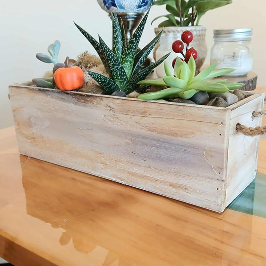 fall terrarium fall workshop fall workshops candle store fall succulent terrarium workshop candle shop candle store candle store in guelph candle store guelph candle shop in guelph candle shop guelph candles guelph candle soy wax candle natural candles guelph natural soy wax candles non toxic candles guelph