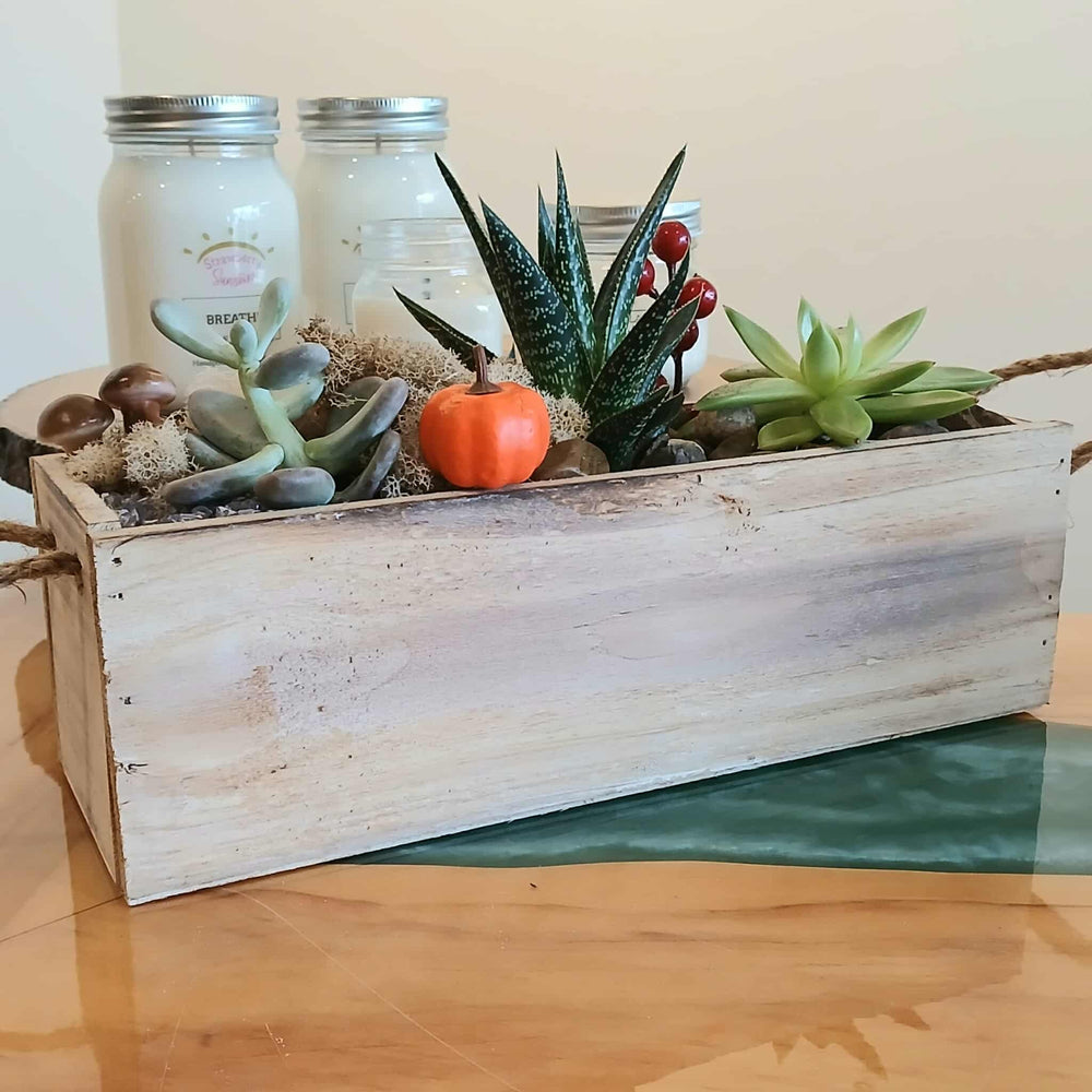 fall terrarium fall workshop fall workshops candle store fall succulent terrarium workshop candle shop candle store candle store in guelph candle store guelph candle shop in guelph candle shop guelph candles guelph candle soy wax candle natural candles guelph natural soy wax candles non toxic candles guelph