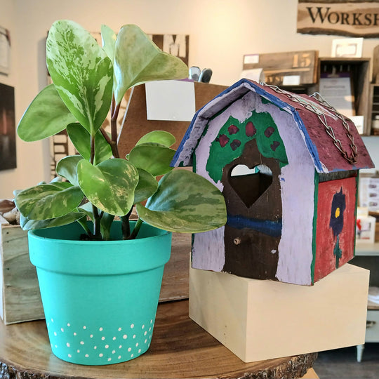 March Break Workshops for Kids