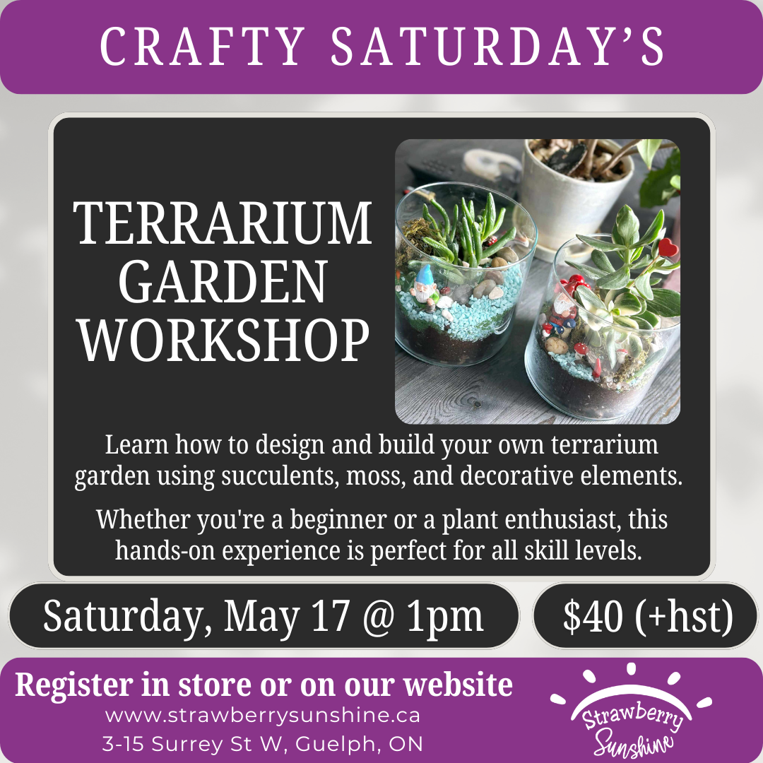 succulent terrarium workshop candle shop candle store candle store in guelph candle store guelph candle shop in guelph candle shop guelph candles guelph candle soy wax candle natural candles guelph natural soy wax candles non toxic candles guelph